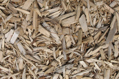 biomass boilers Mintlaw